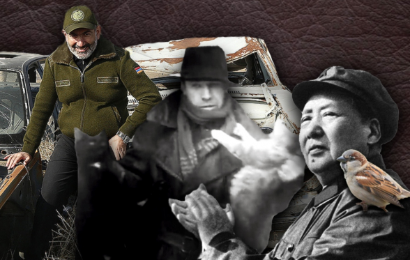 Мао Цзэдун VS Никол Пашинян, воробей VS кузов – 7orTV